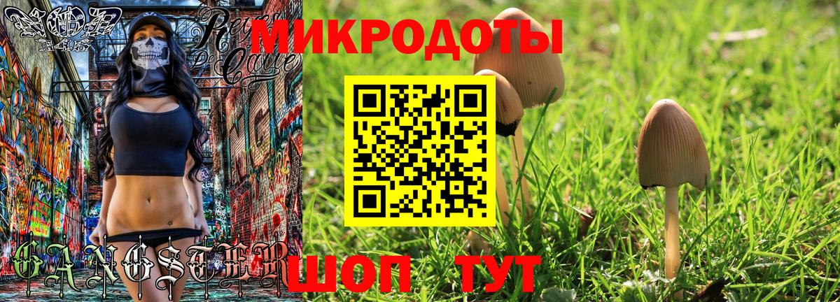 Псилоцибиновые грибы ЛСД  Галлюциногенные грибы MAGIC MUSHROOMS  Осинники  Вход с VPN 